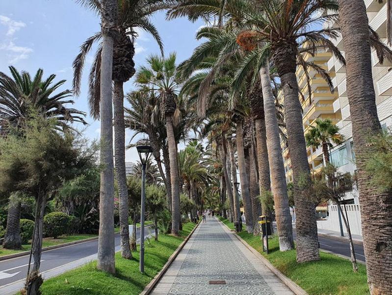 Apartamento Renovado, Frente A La Playa, Con Garaje Lejlighed Puerto de la Cruz  Eksteriør billede